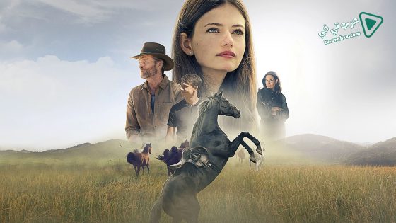 فيلم Black Beauty 2020 مترجم