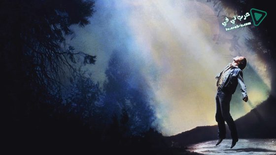 فيلم Fire in the Sky 1993 مترجم