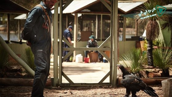 فيلم Healing 2014 مترجم