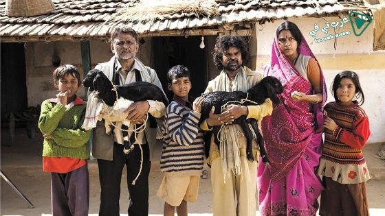 فيلم Peepli [Live] 2010 مترجم