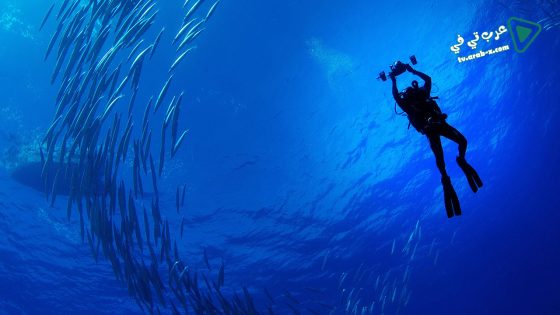 فيلم Sharks of Lost Island 2013 مترجم