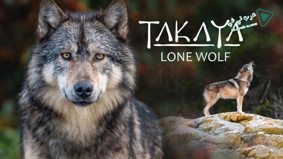 فيلم Takaya Lone Wolf 2019 مترجم