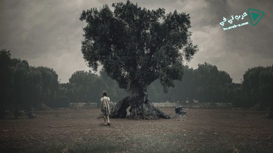 فيلم The Binding 2020 مترجم