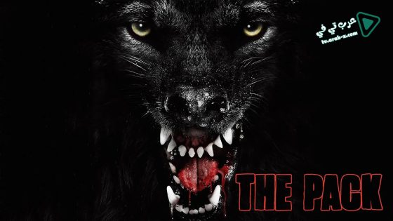 فيلم The Pack 2015 مترجم