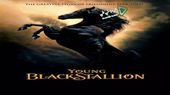 فيلم Young Black Stallion 2003 مترجم