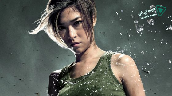 فيلم raging-phoenix- 2009 مترجم