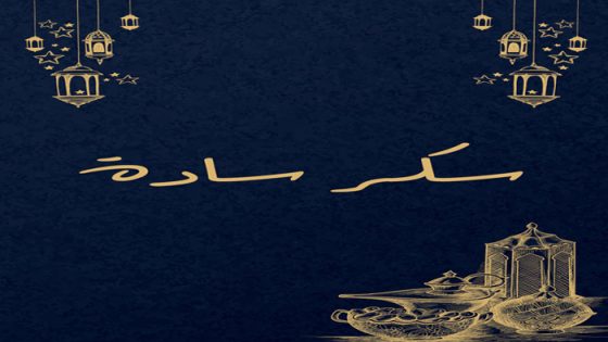 سكر سادة الحلقة 24